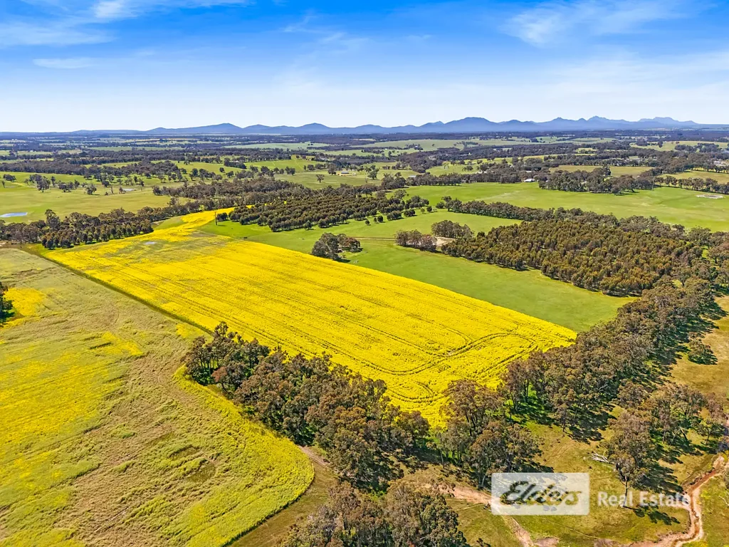 Mount Barker  Build It Your Way – Lifestyle Acreage Awaits