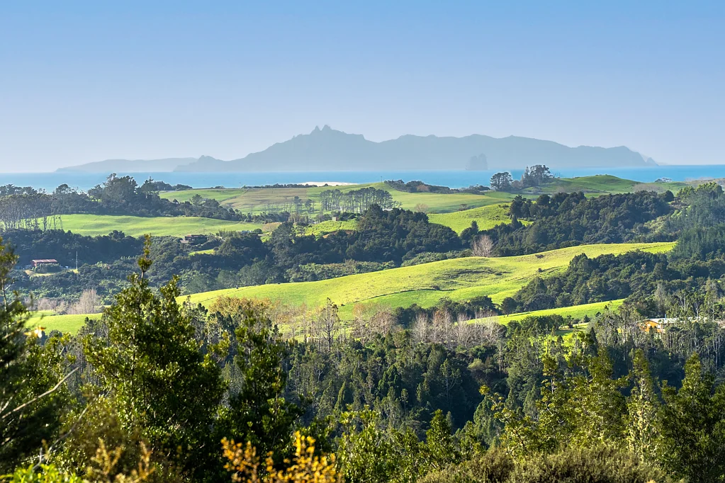 Mangawhai 4Moenga Seaview Bliss with a Forest Kiss