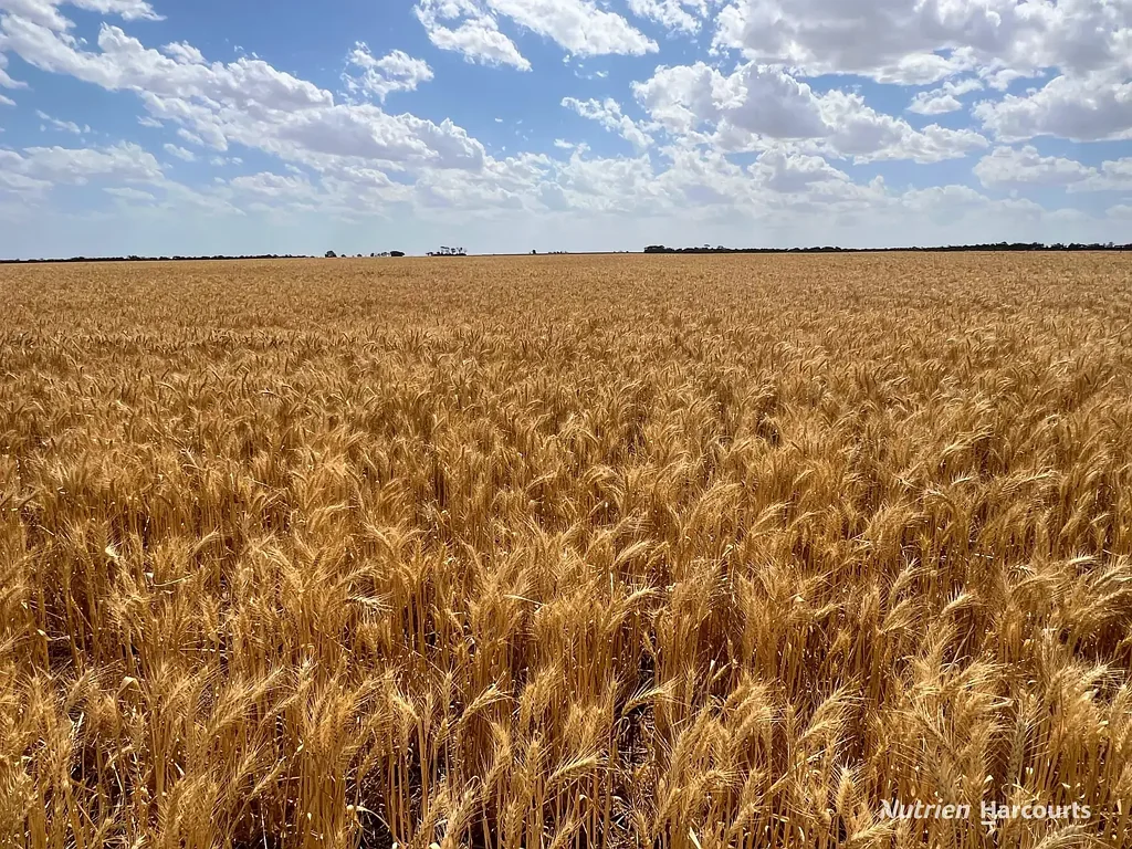 Booralaming  "GLENCOE"