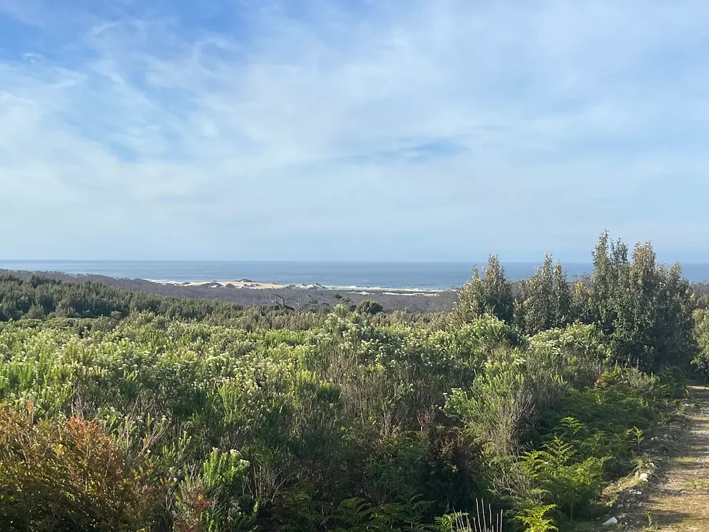Granville Harbour  West Coast Hinterland