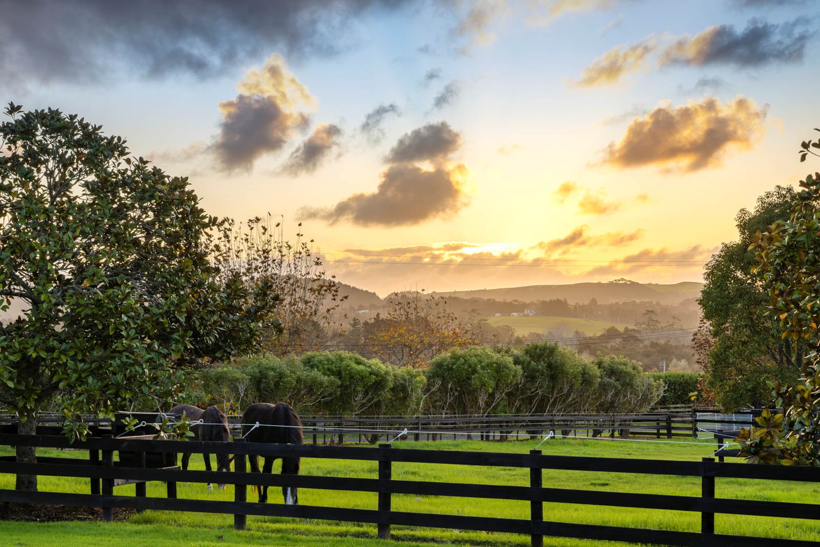 903 Old North Road, Waimauku, Auckland - Rodney, 5 chambres, 0 salles de bain