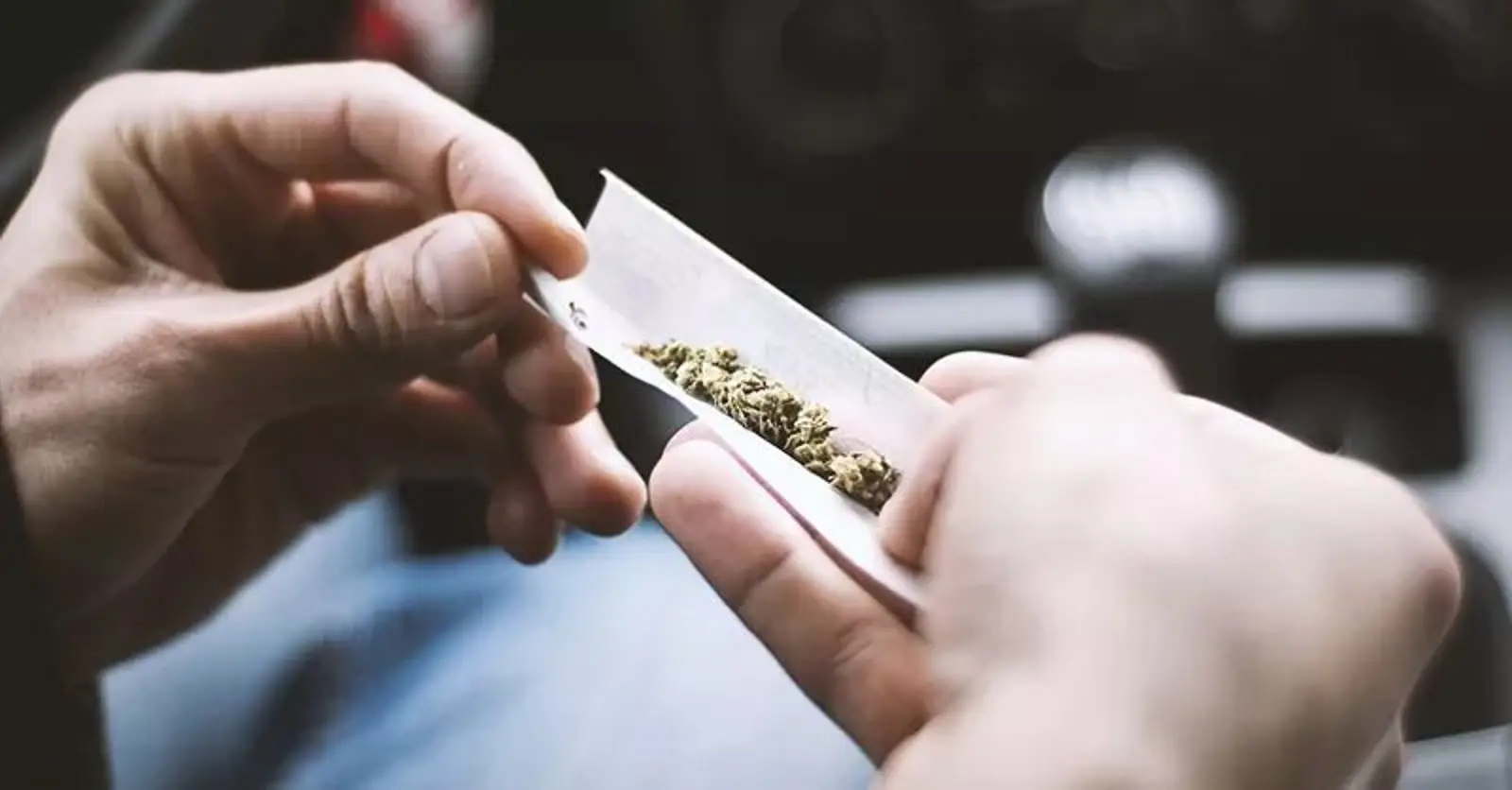 最新调查:60%的Kiwis将在公投中支持大麻合法化,绿党支持者更可能投赞成票!