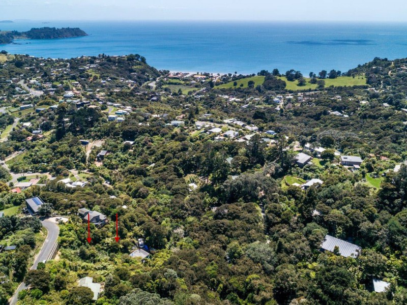 Hauraki Gulf Islands