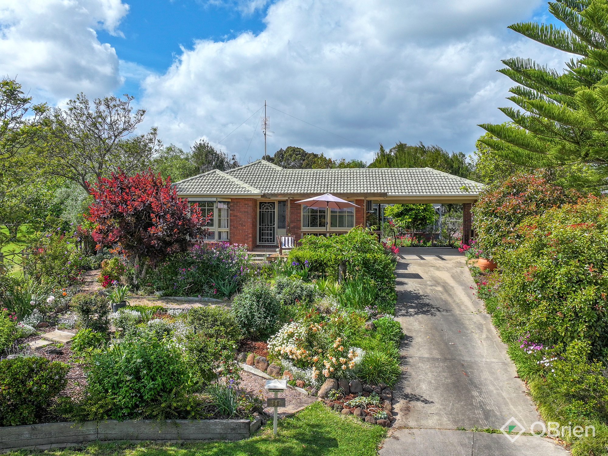 11 LLEWELYN CT, BAIRNSDALE VIC 3875, 0房, 0浴, House