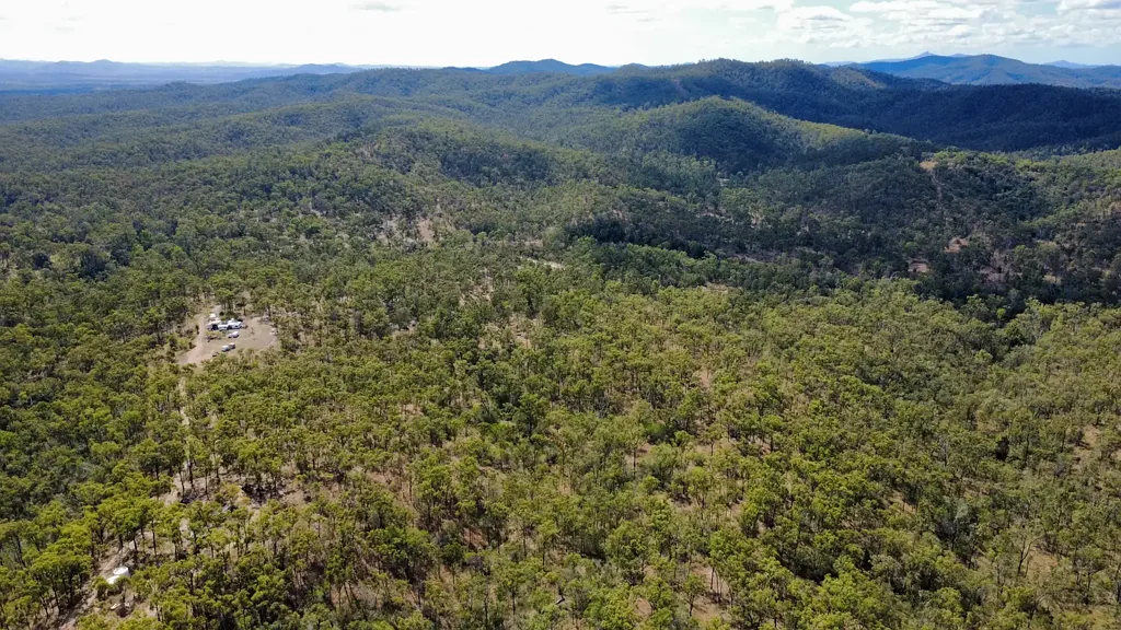 Wooderson 471 Neill Creek Road, Wooderson – 445 Acres of Untapped Potential