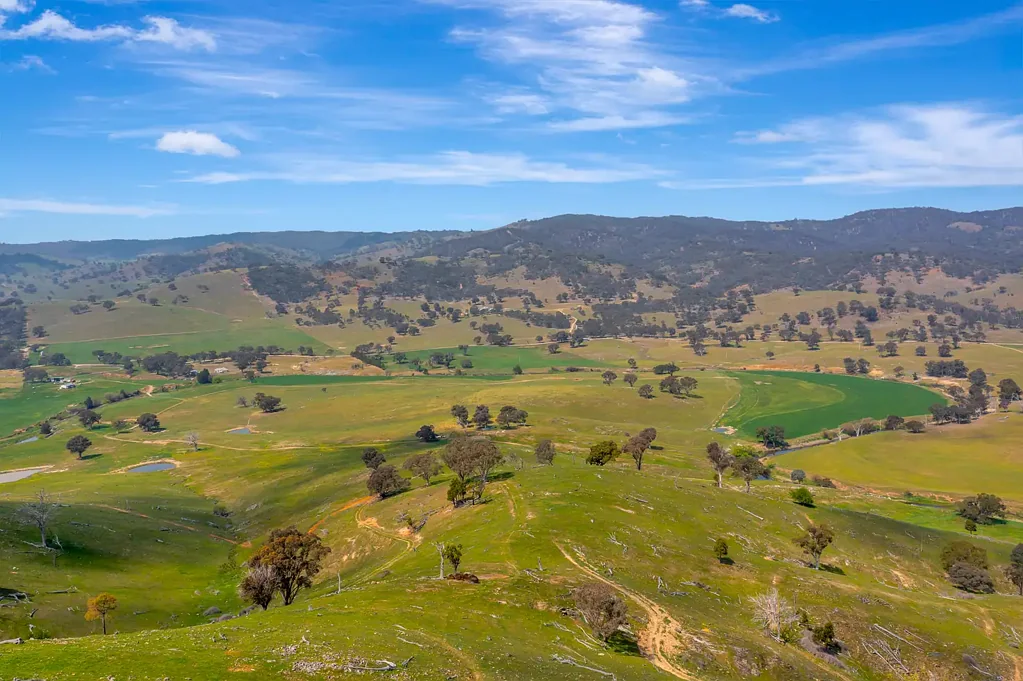 Crudine Productive Grazing Property with River Frontage & Quality Infrastructure