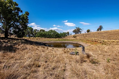 856 Spring Flat Road, Spring Flat, NSW 2850, 0 Bedrooms, 0 Bathrooms, Lifestyle Property