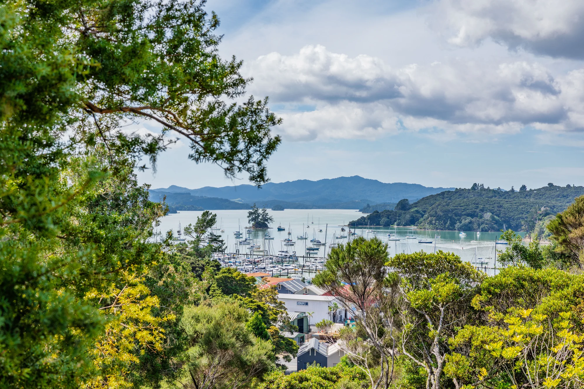 Opua Build Your Dream Home: Sea Views & Stylish Cabin