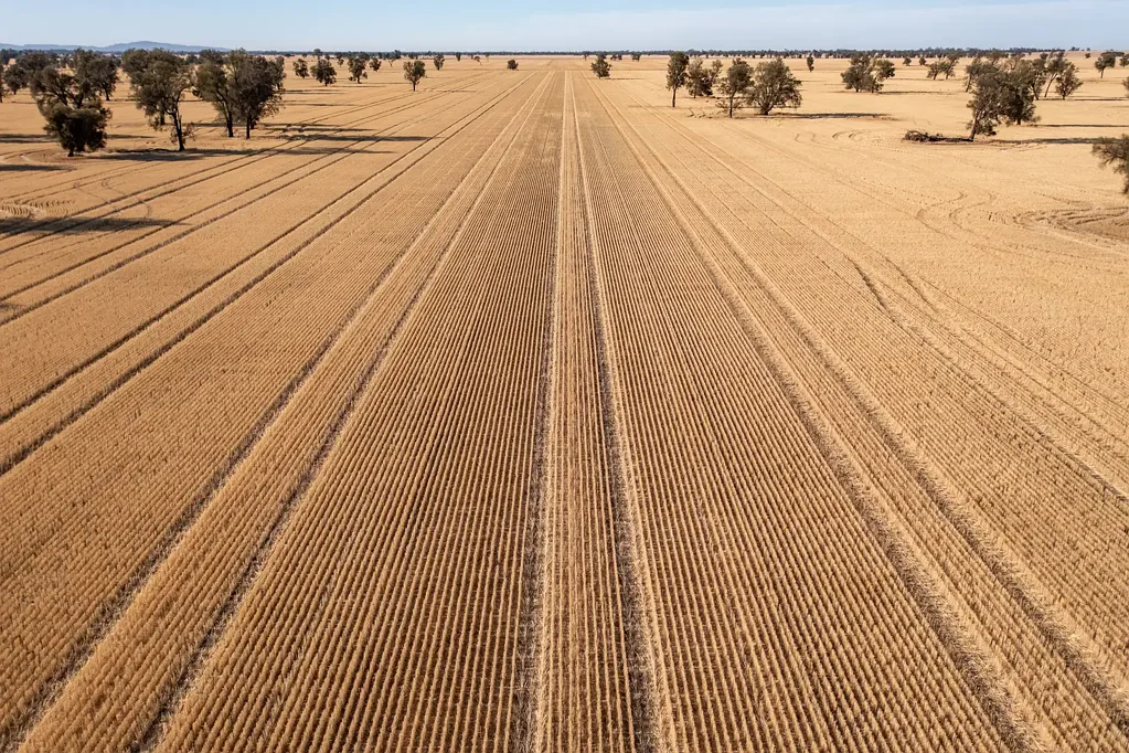 Noradjuha  "Noradjuha" - 320* Acre Quality Mixed Farming Opportunity!