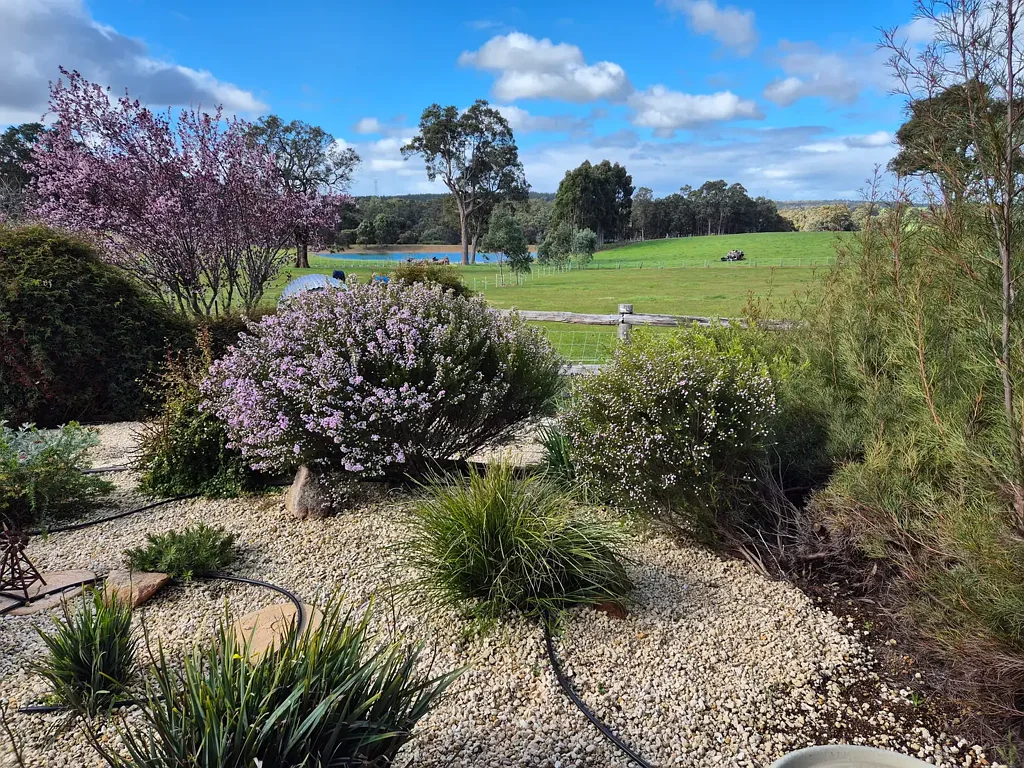 Harris River HARRIS RIVER LIFESTYLE PROPERTY WITH VALLEY VIEWS