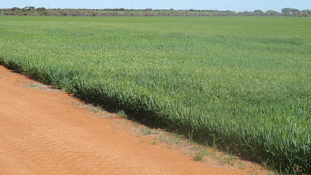North Bodallin Lakeview Aggregation, North Bodallin - excellent opportunity