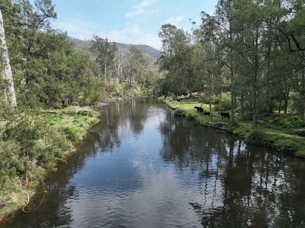 Moogem HIDDEN NEW ENGLAND BEEF JEWEL- "Moogem"  763.9 HA* (1887.63 AC)* Eastern New England cattle breeding property.