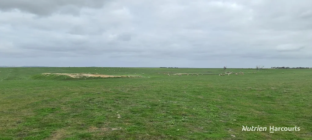 Bremer Bay Ideal Add on Block or Land Bank Opportunity in the Biosphere Hotspot!