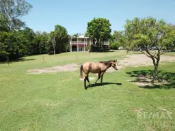 1587 Maleny-Kenilworth Road, Conondale