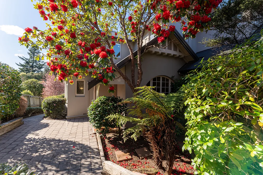 Maori Hill 5房  Inviting family home in the heart of Maori Hill