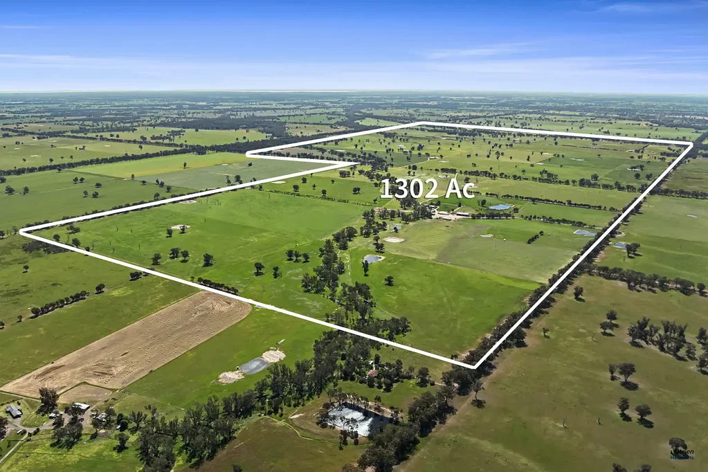 Longwood KILLARA PARK - 1300 Acres of Prime Lamb & Beef Country