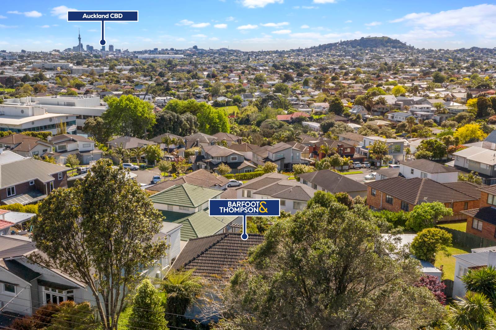 138 Mount Albert Road, Mount Albert, Auckland, 0房, 0浴, Section