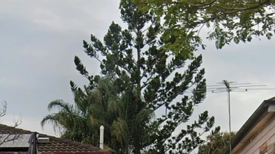 傻眼！澳洲屋主后院挖泳池，一个操作竟要给邻居赔钱！华人屋主注意了……