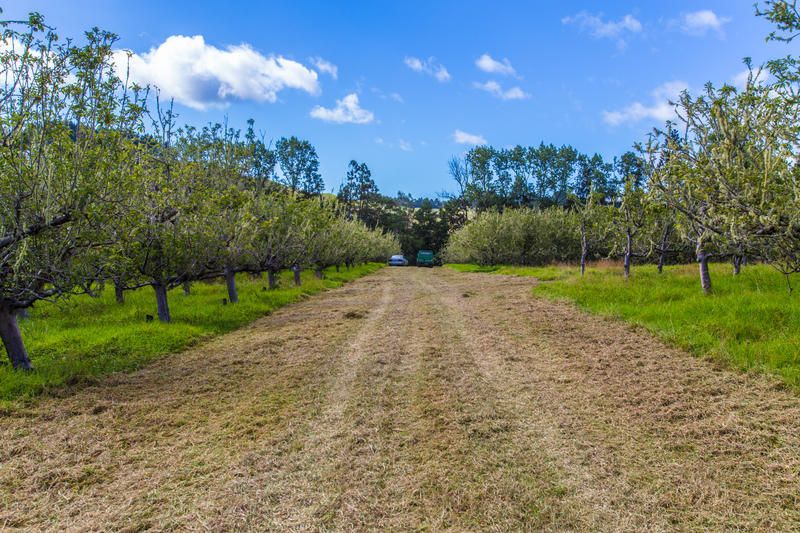 Rural  Waitakere Foothills Zone