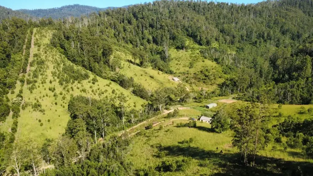 Upper Pappinbarra  330 ACRES, 3 LARGE SHEDS, CREEKS & SPRING FED GULLIES