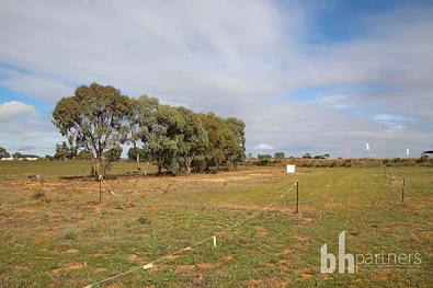 LOT 145 Dollard Avenue, Mannum, SA 5238, 0 rūma, 0 rūma horoi, Section