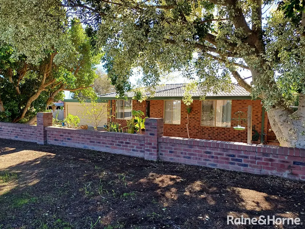 3 x 1 plus Study in SWAN VIEW