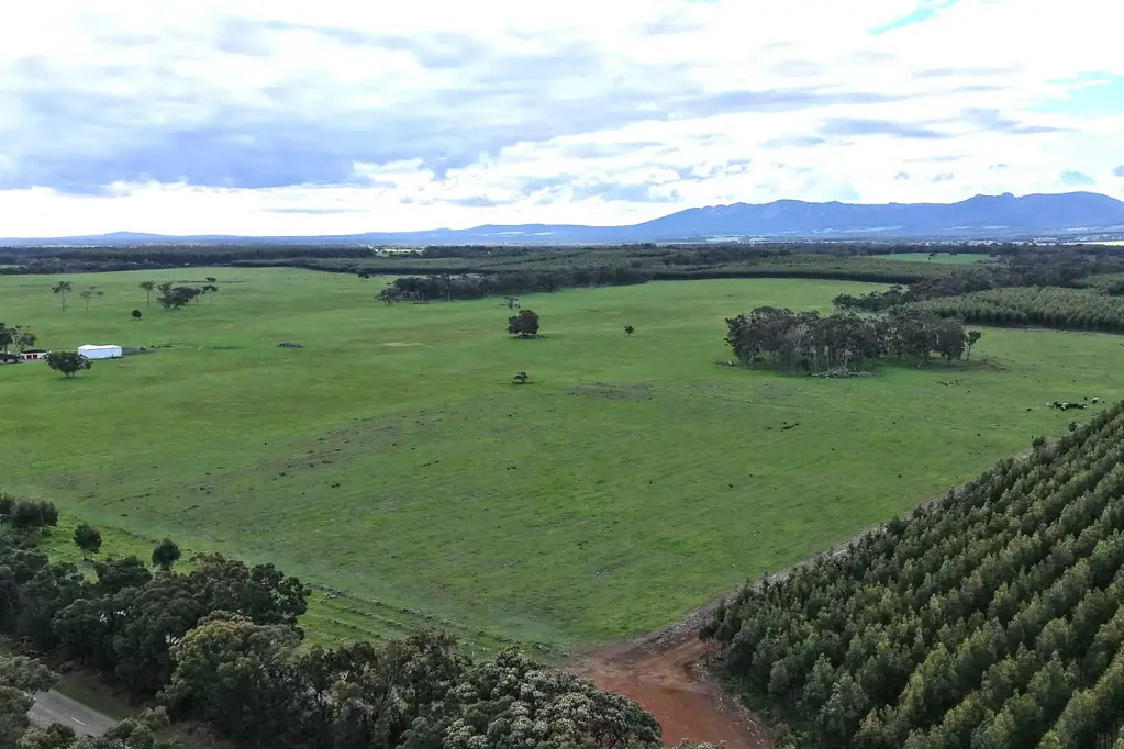 Napier  Rural Lifestyle and Income Opportunity Close to Albany and Mount Barker