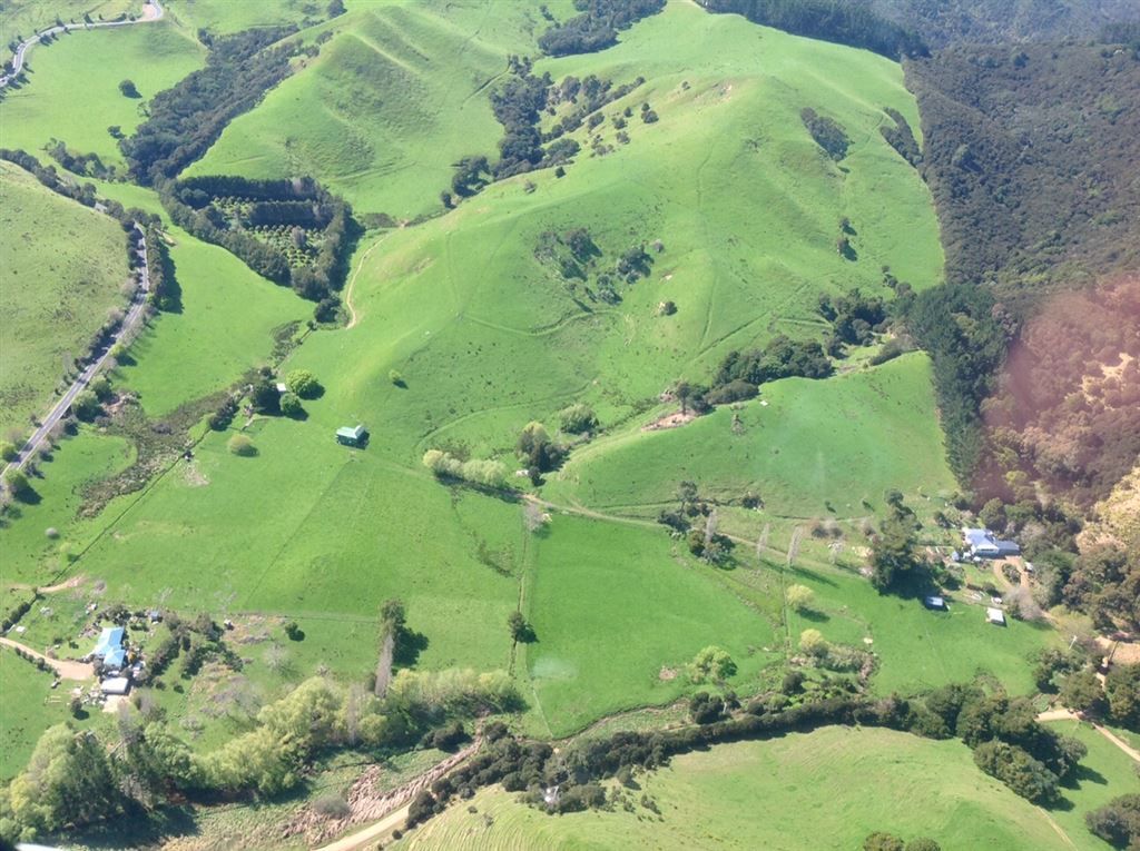 Hauraki Gulf Islands