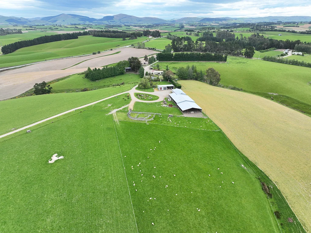 Clinton and Surrounds On the Upside - Uppin Downs