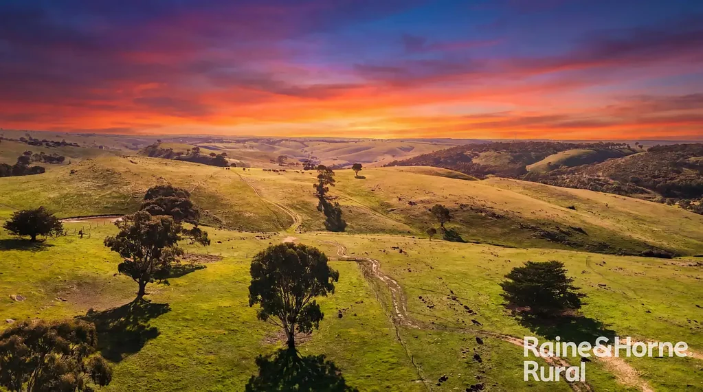 Wistow SLATE VALLEY SPRINGS - A Grazier's Lifestyle Opportunity Etched into a 257-acre Postcard Landscape.