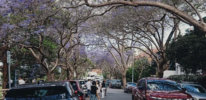 悉尼公寓价暴跌15%，换房族迎来抄底良机