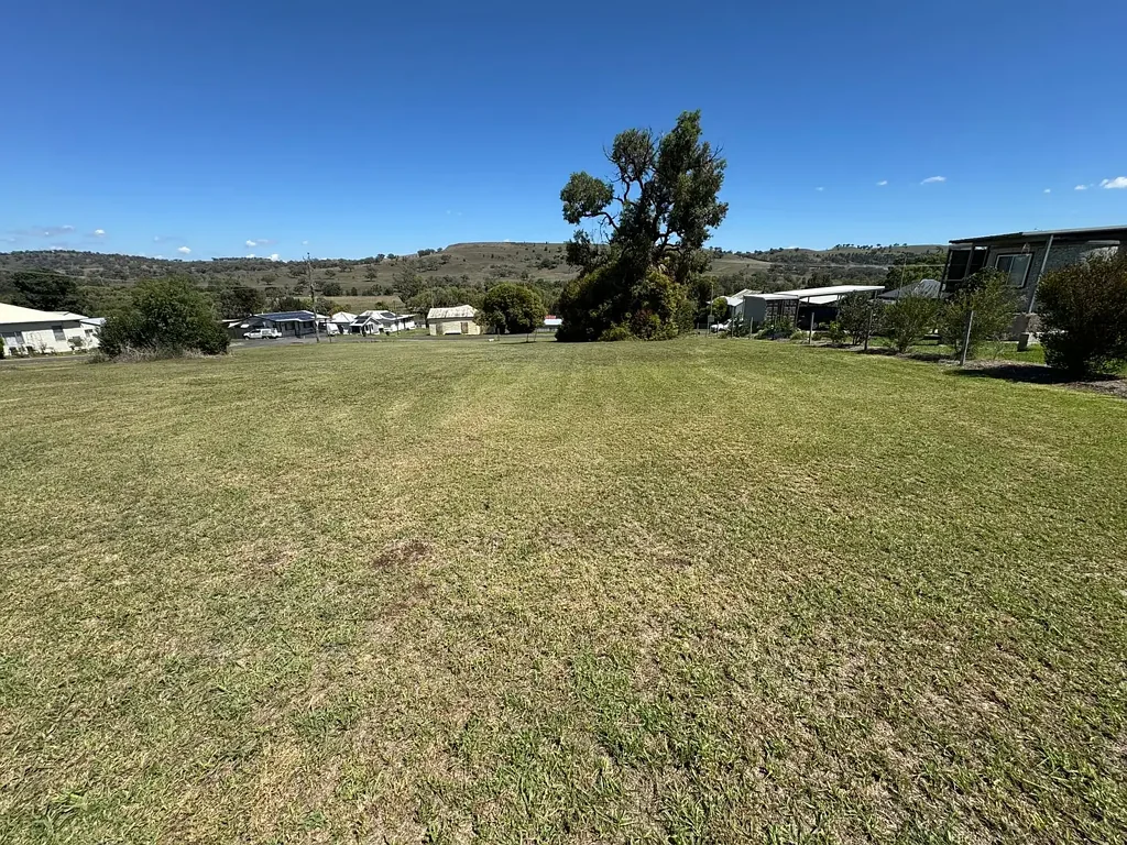 24 Learmonth Street, Willow Tree, NSW 2339