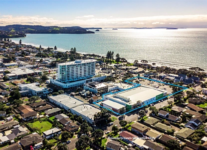 Business  Town Centre Zone