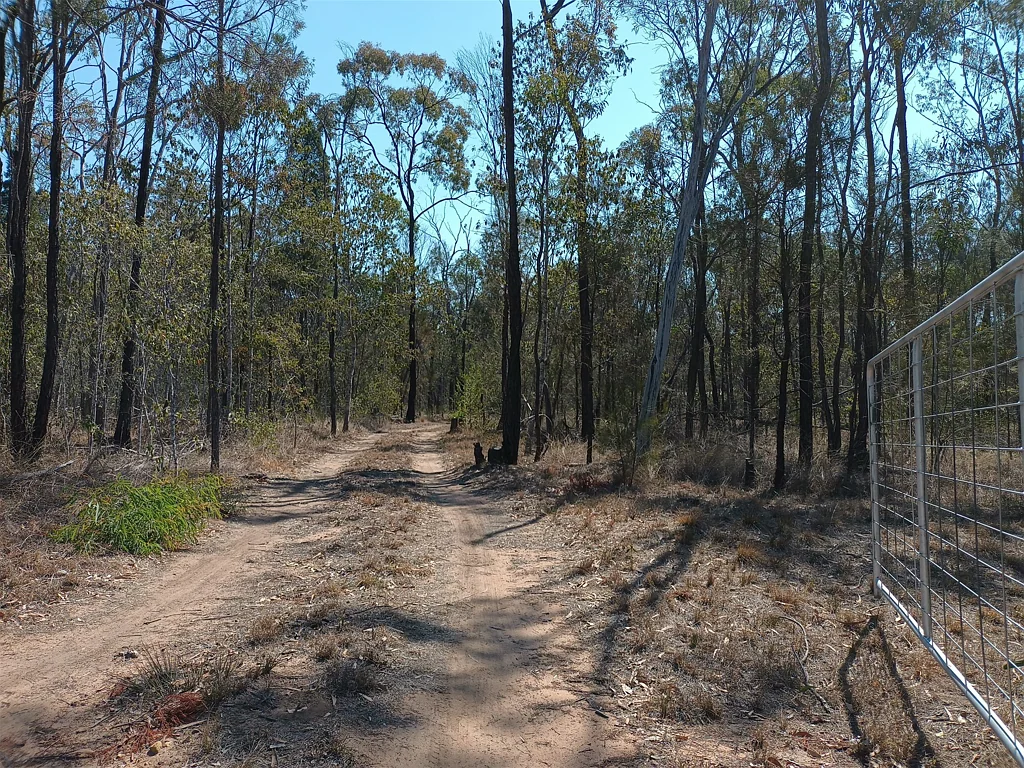 147 Brigalow Avenue, Millmerran Woods, QLD 4357