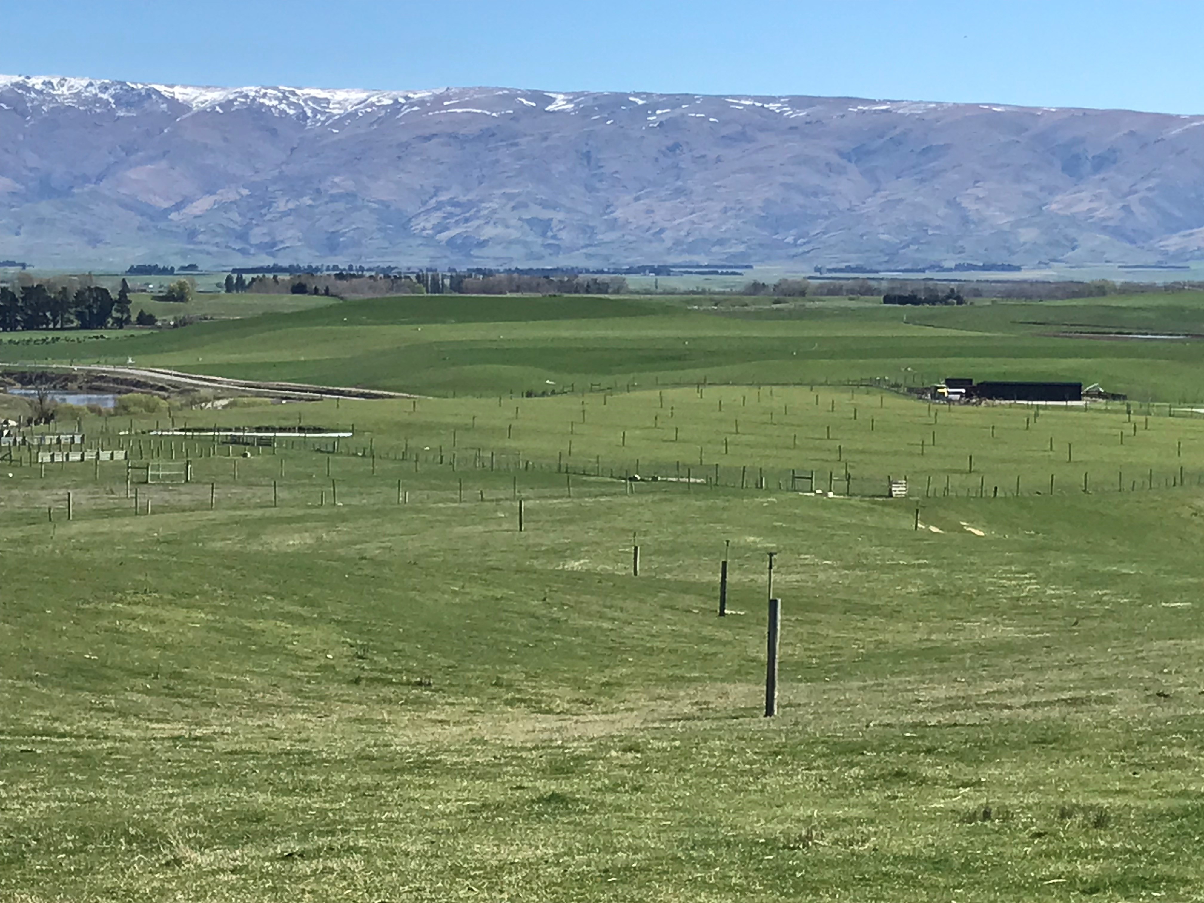 3066 Lauder-Omakau Road, Omakau, Otago, 2 غرف, 1 حمامات, Specialist Livestock