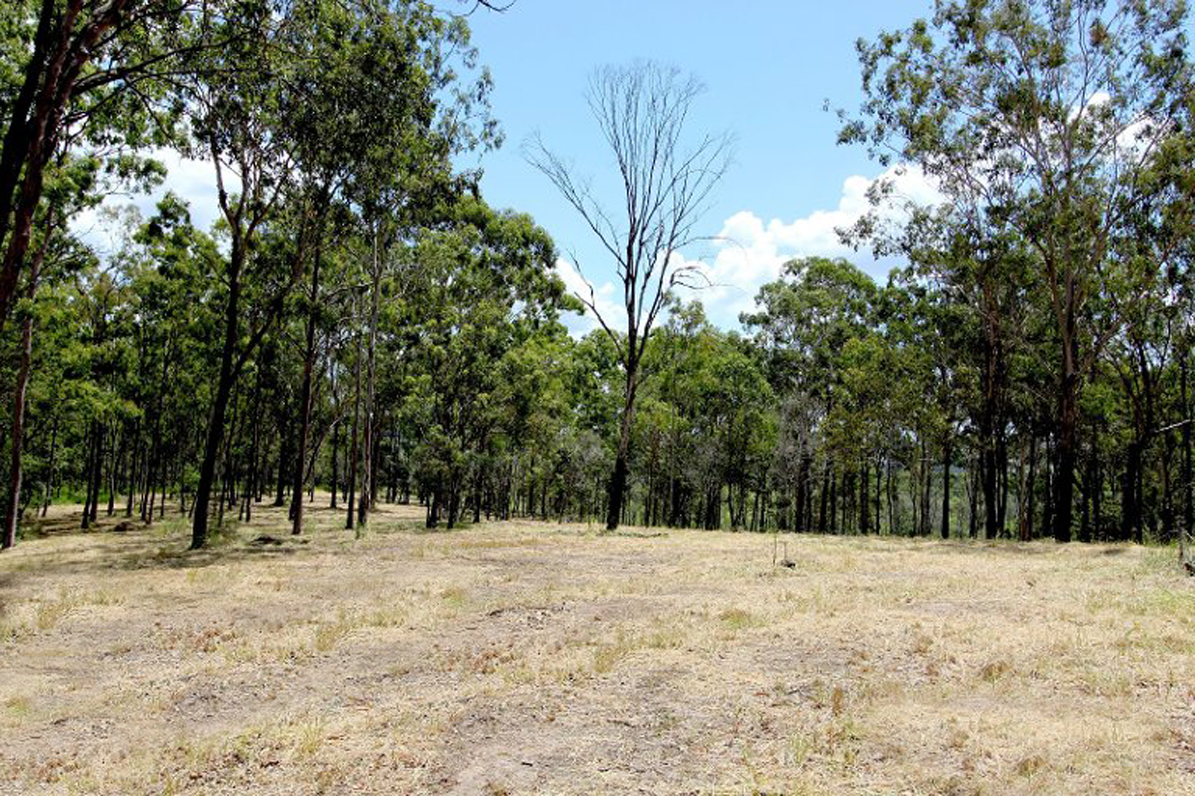 40 GROESCHEL CT, GOODNA QLD 4300, 0 rūma, 0 rūma horoi, Section