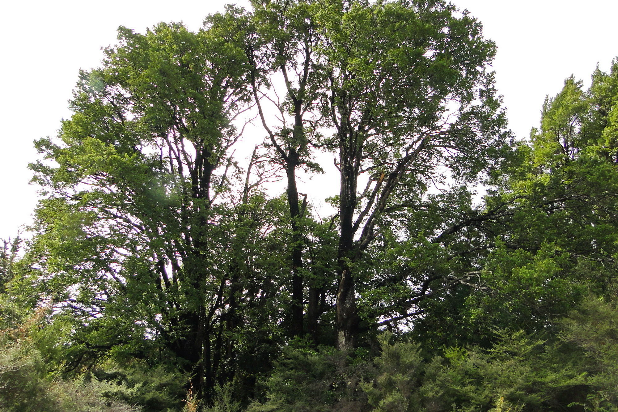 Canaan Road, Kahurangi National Park, Tasman, 0 phòng ngủ, 1 phòng tắm