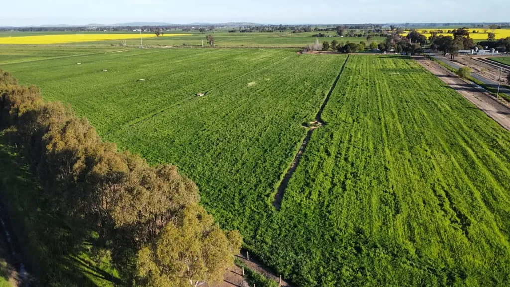 Invergordon 32 Acres | Prime Mixed Farming Opportunity