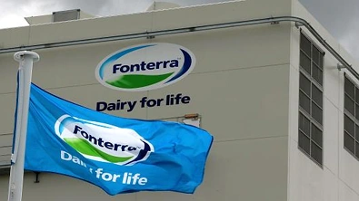 乳品拍卖价格上升2.6%