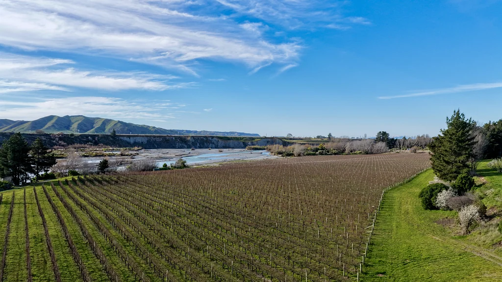 Seddon Elevated lifestyle build or vineyard opportunity