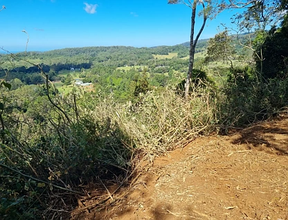 107 Lyrebird Ridge Road, Springbrook, QLD 4213, 0房, 0浴, Section