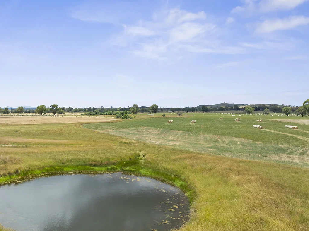 Barwite  Productive river flats farmland with fabulous views!