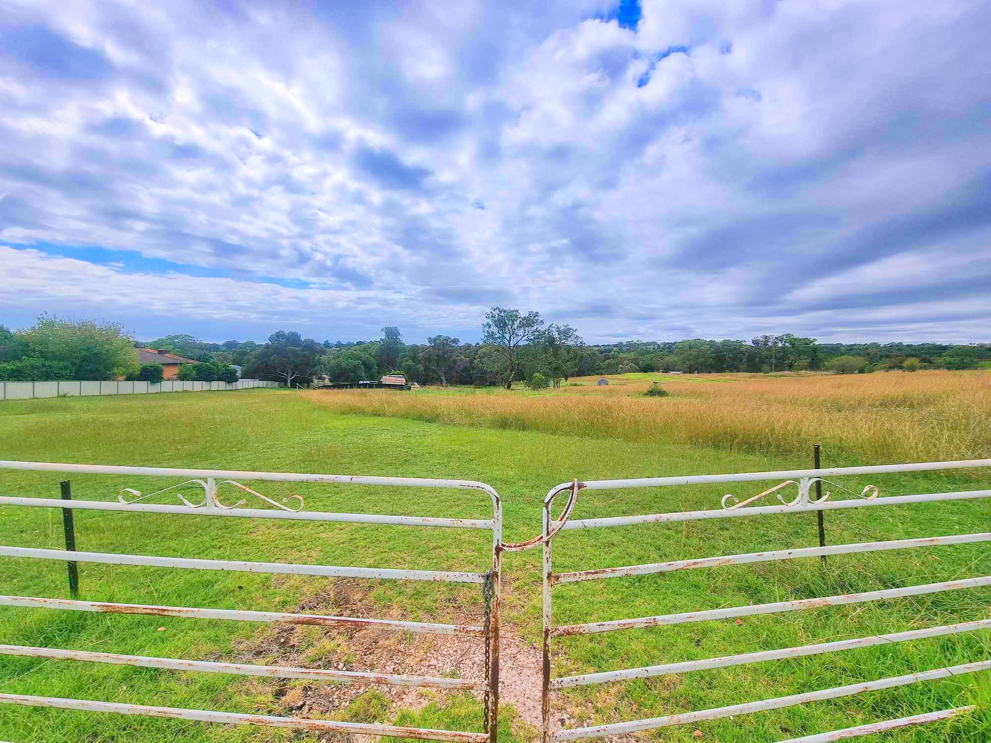 86 BACK CREEK RD, YOUNG NSW 2594, 0 રૂમ, 0 બાથરૂમ, Section