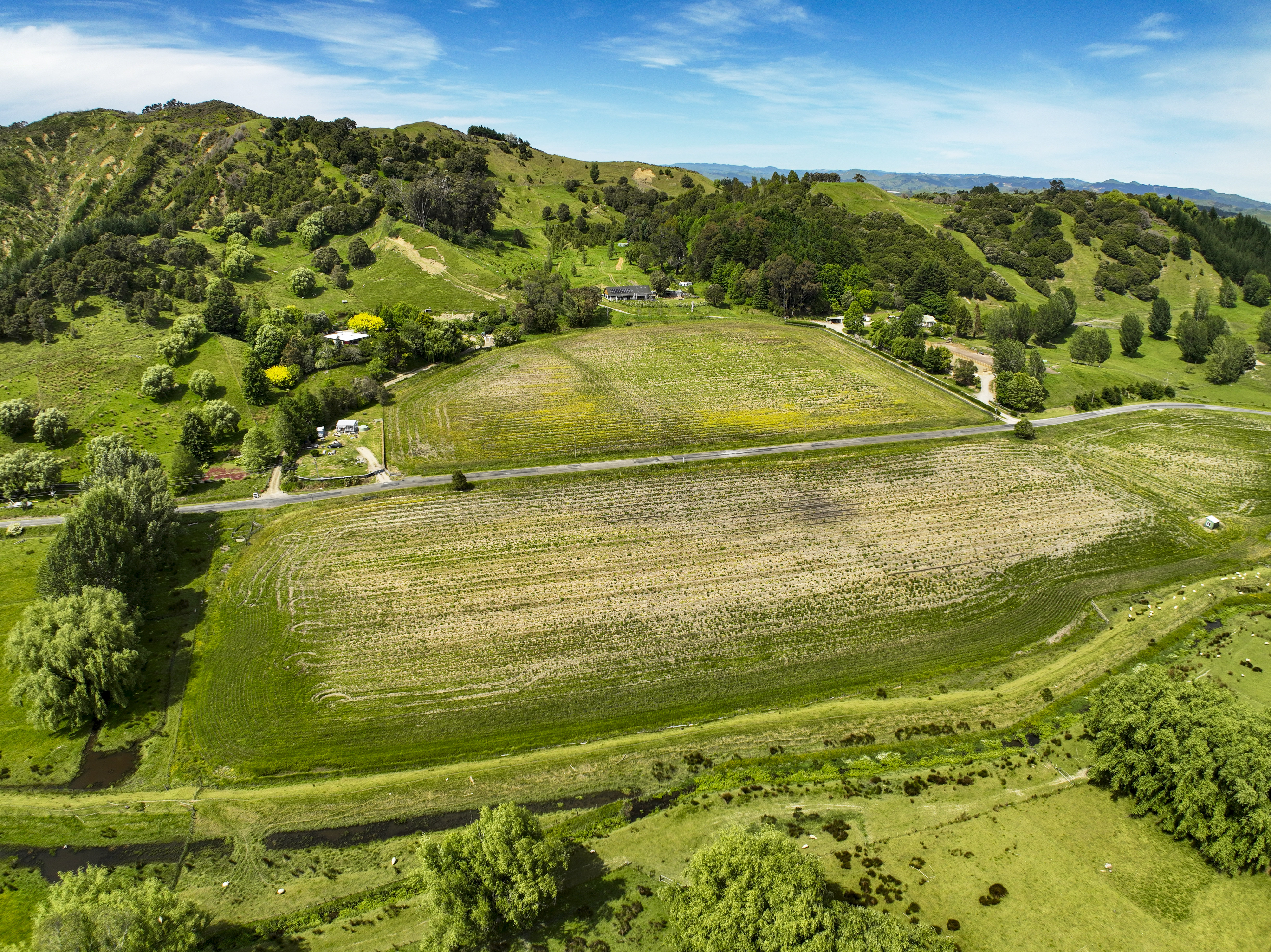 Ormond Valley Road, Ormond, Gisborne, 0 कमरे, 1 बाथरूम, Bare Land