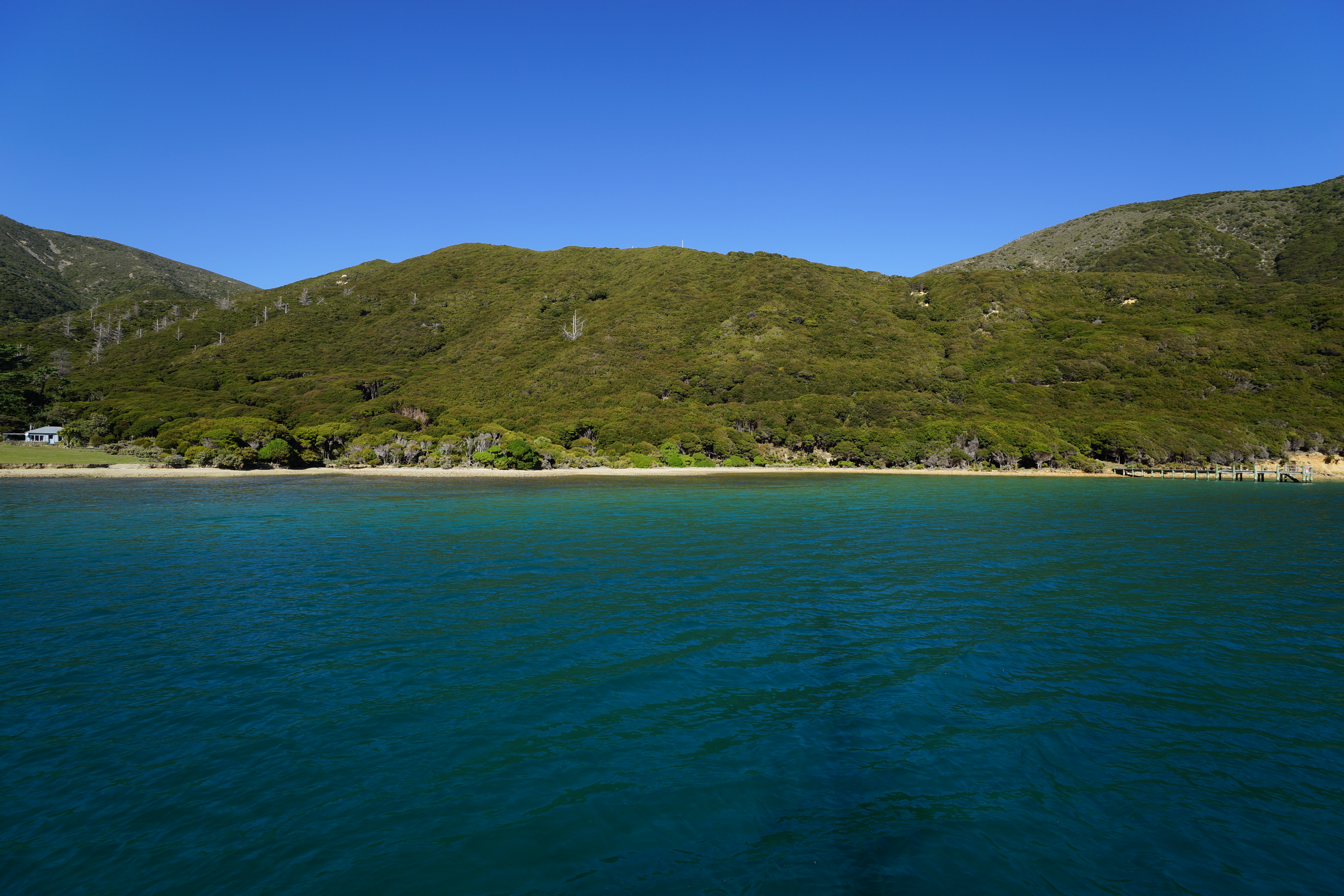 Otanerau Bay, Arapaoa Island, Marlborough, 0 rūma, 0 rūma horoi