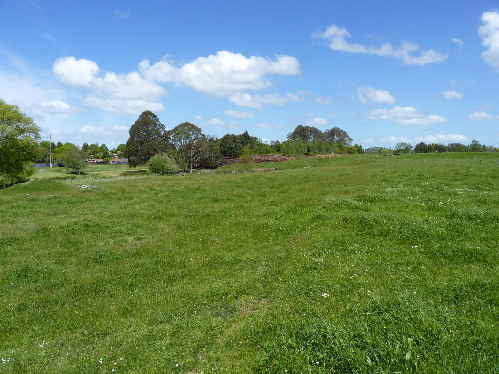 7b Princess Beatrix Avenue, Tokoroa, South Waikato, 2部屋, 1バスルーム, Specialist Livestock