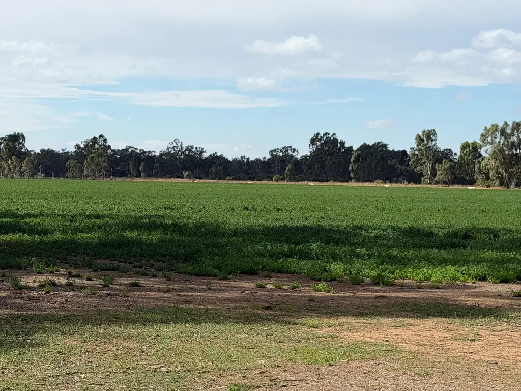 Undera  Versatile 75-Acre Holding with Established Lucerne