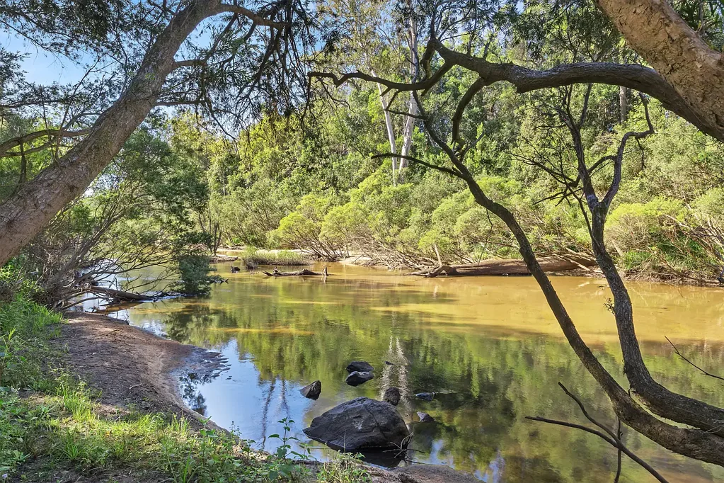 691 Lower Kangaroo Creek Road, Coutts Crossing, NSW 2460