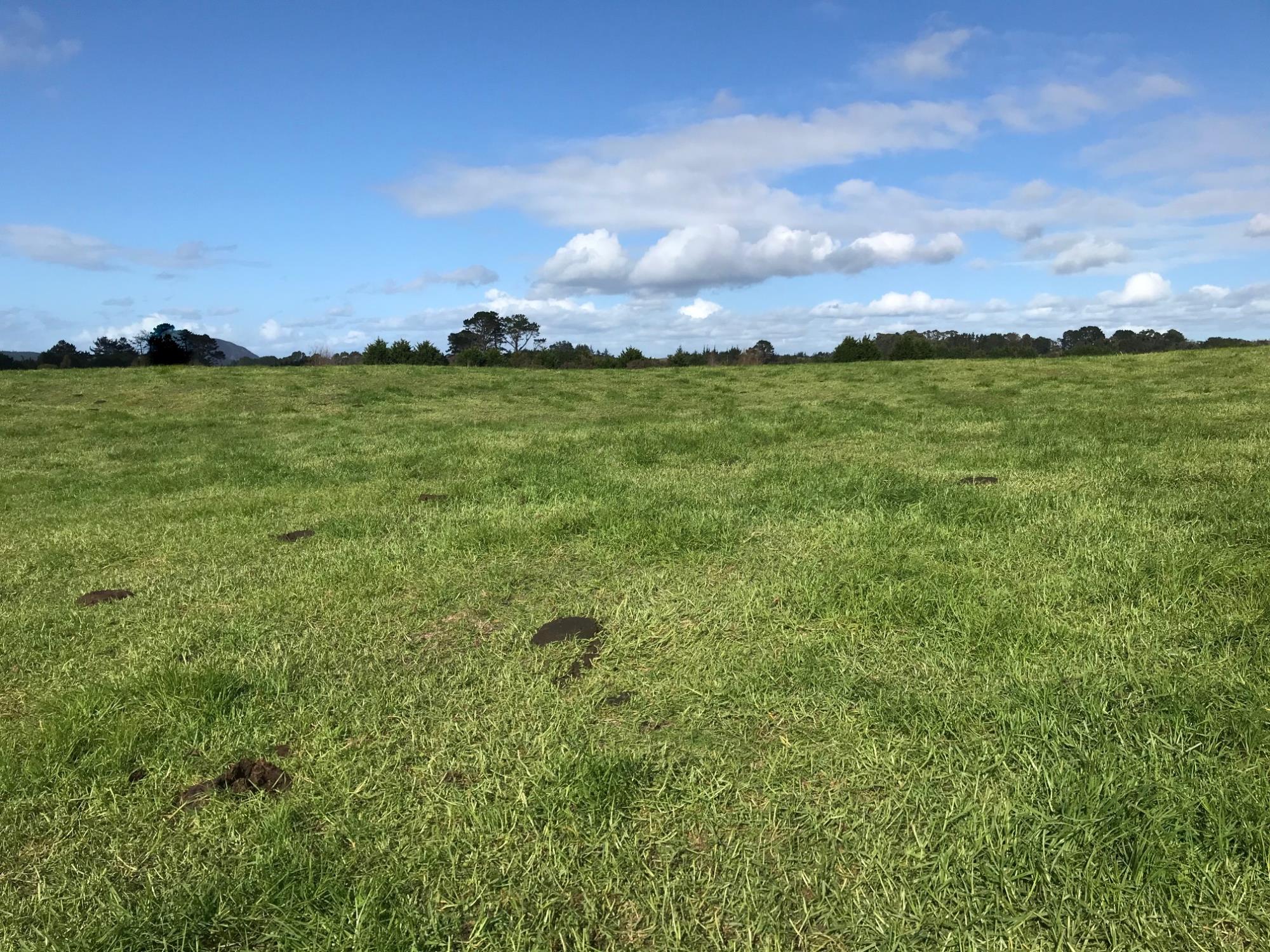 State Highway 1, Mangamuka, Far North, 0房, 1浴