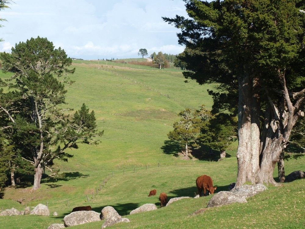 74 Appian Way (Pvt), Ruatangata, Whangarei, 3 habitaciones, 0 baños